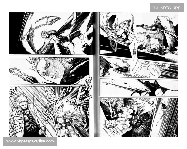 鬼泣三特别版:汉化之道