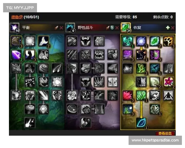 魔兽世界奶德：打造强劲伤害的必杀技