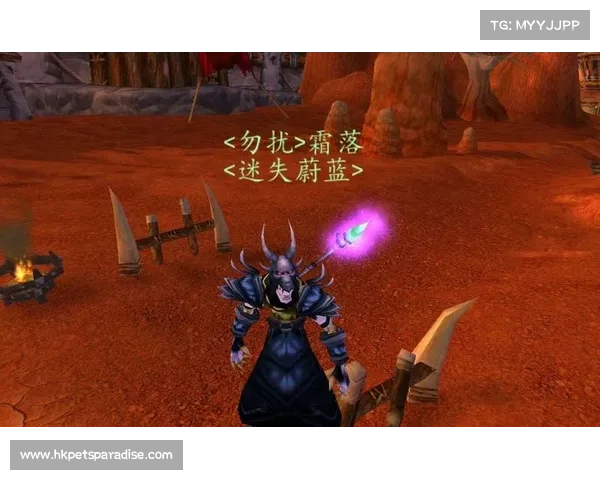 魔兽世界怀旧服：掌握法师技能，攻击力飙升