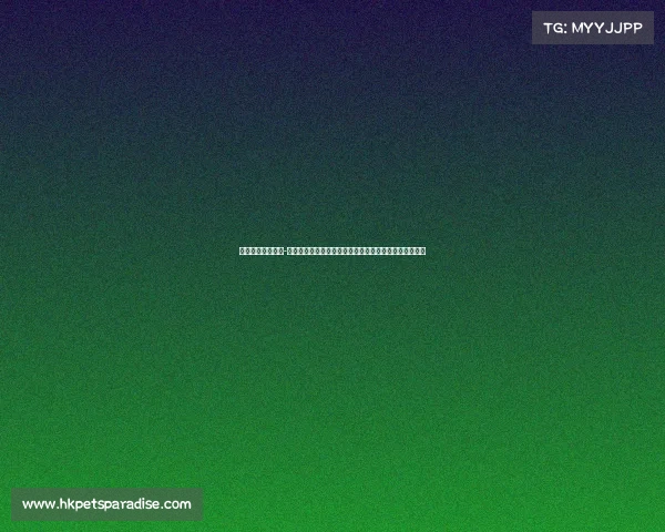 电子竞技相关报道-电竞嘉年华点亮雪城牡丹江，推动东北亚数字文化新发展