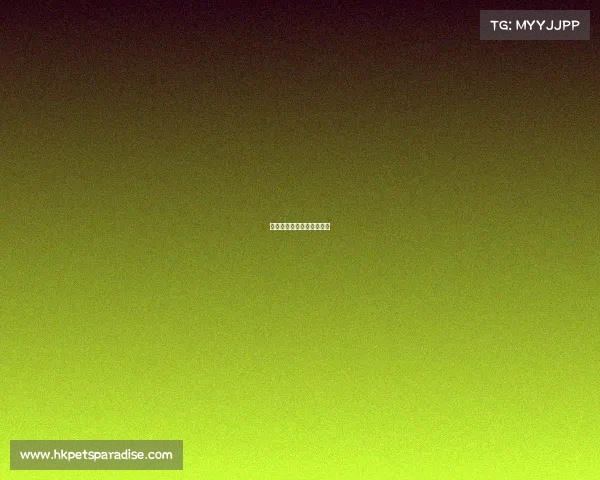 电子竞技职业选手作息时间