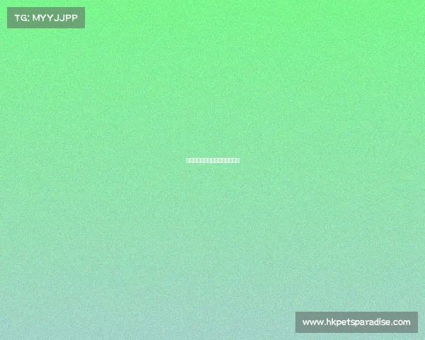 电子竞技:年轻人追捧的新赛道?