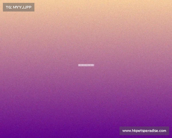 西安电子竞技战队有哪些